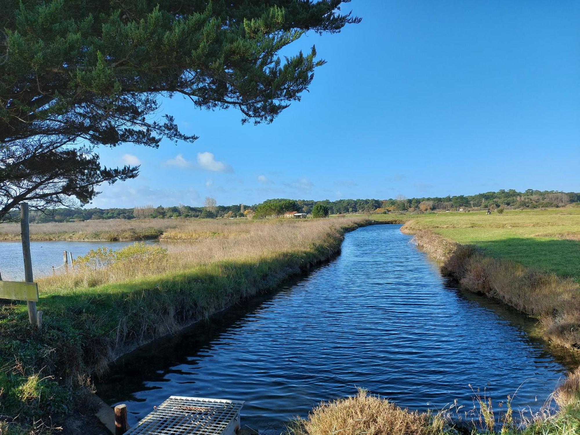 Studio La Salicorne Au Sables D'Olonne Les Sables-dʼOlonne Kültér fotó