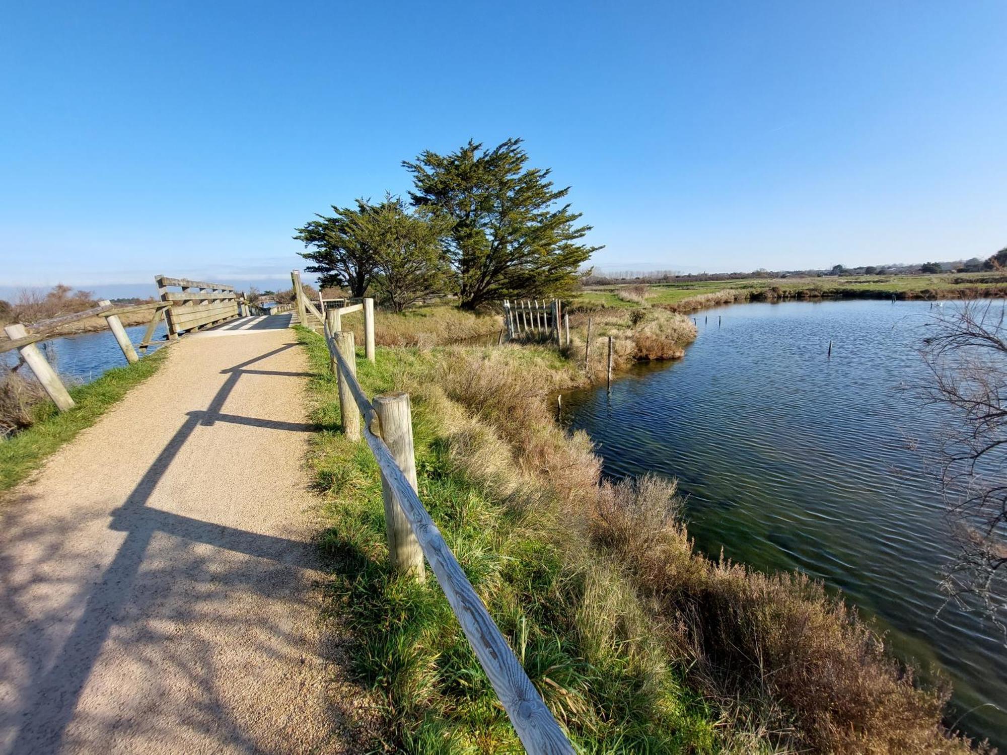 Studio La Salicorne Au Sables D'Olonne Les Sables-dʼOlonne Kültér fotó