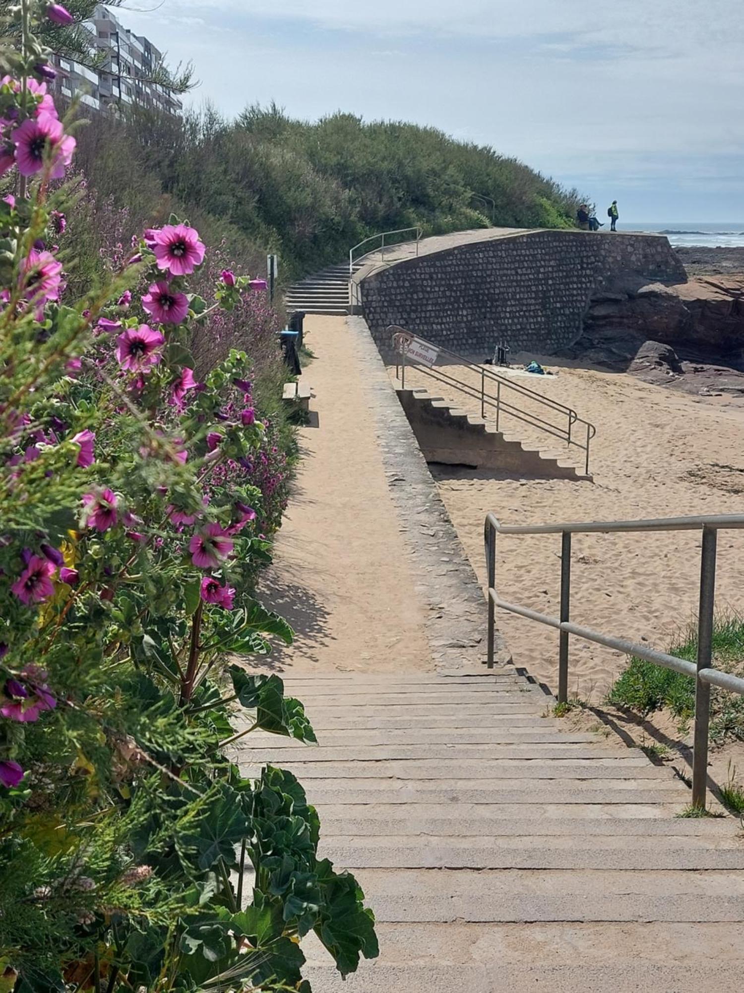 Studio La Salicorne Au Sables D'Olonne Les Sables-dʼOlonne Kültér fotó