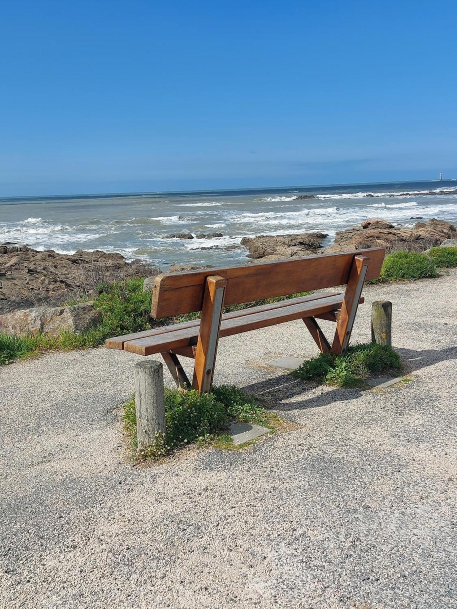 Studio La Salicorne Au Sables D'Olonne Les Sables-dʼOlonne Kültér fotó